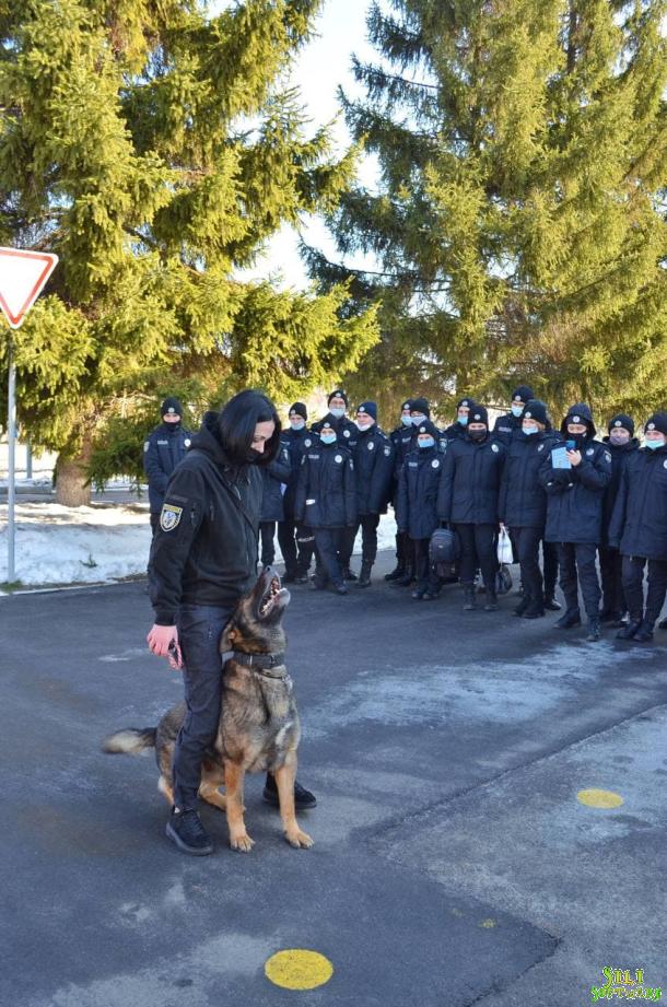 Практичні заняття з кінологами в ННІ № 1 НАВС Практичні заняття з кінологами в ННІ № 1 НАВС