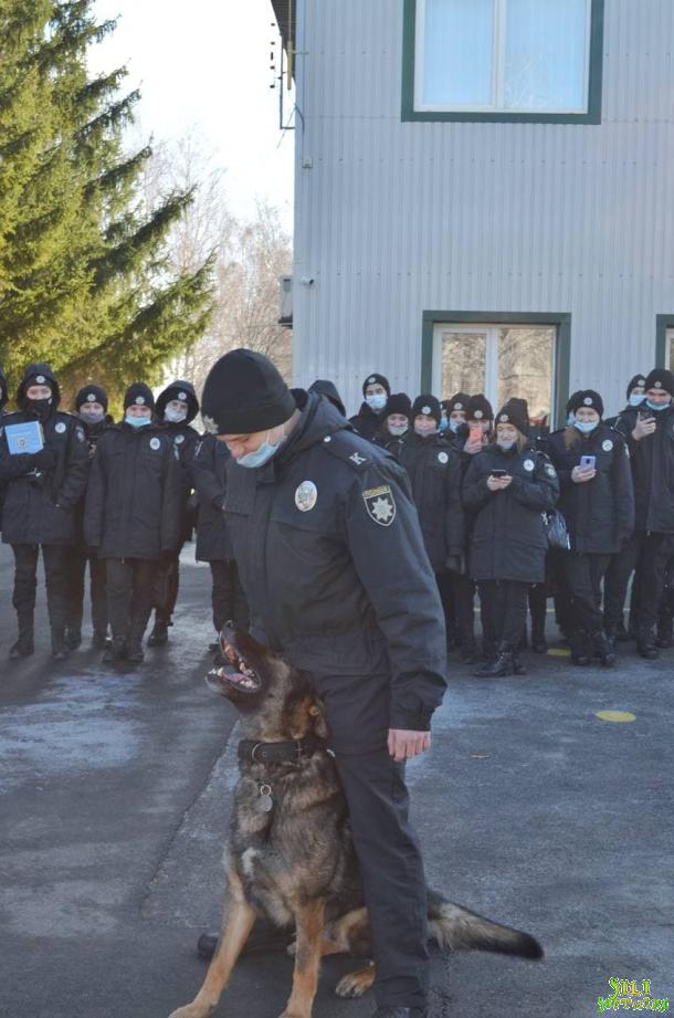 Практичні заняття з кінологами в ННІ № 1 НАВС Практичні заняття з кінологами в ННІ № 1 НАВС