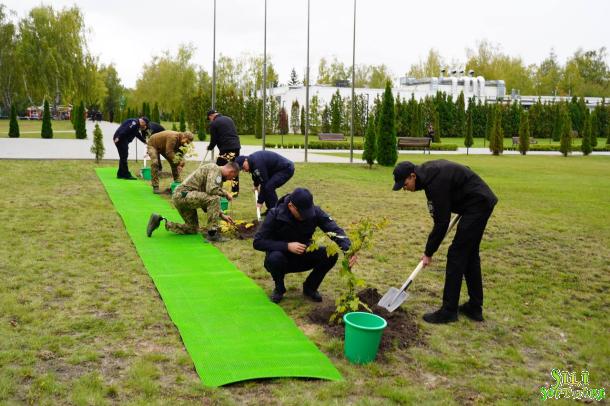 Алея пам’яті героїв у навчально-науковому інституті поліцейської діяльності НАВС Алея пам’яті героїв у навчально-науковому інституті поліцейської діяльності НАВС