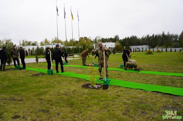 Алея пам’яті героїв у навчально-науковому інституті поліцейської діяльності НАВС Алея пам’яті героїв у навчально-науковому інституті поліцейської діяльності НАВС
