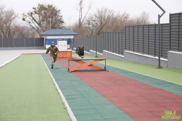 Вивчення криміналістики курсантами НАВС на базі Кінологічного центру ГУНП в Київській області Вивчення криміналістики курсантами НАВС на базі Кінологічного центру ГУНП в Київській області