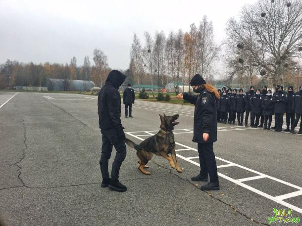 Практичні заняття з кінологічною службою в ННІ №1 Практичні заняття з кінологічною службою в ННІ №1